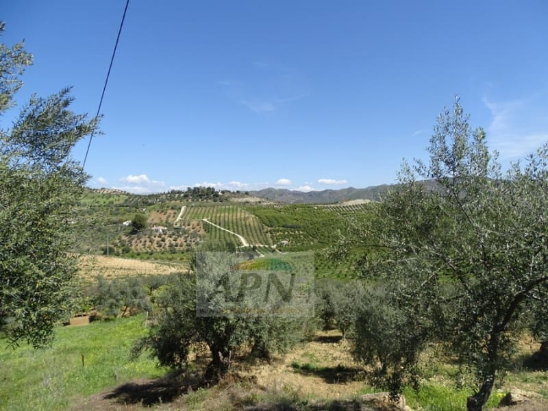 1 Zimmer Finca/Landgut zu verkaufen in Pizarra - 160.000 € (Ref: 7301787)
