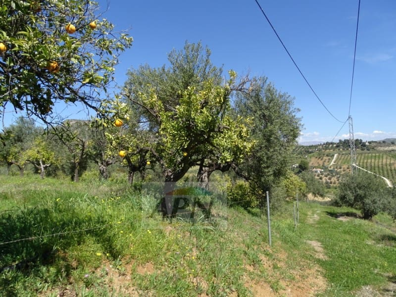 1 Zimmer Finca/Landgut zu verkaufen in Pizarra - 160.000 € (Ref: 7301787)
