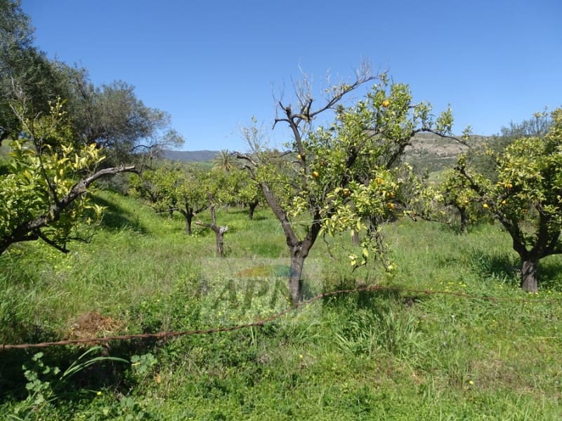 1 Zimmer Finca/Landgut zu verkaufen in Pizarra - 160.000 € (Ref: 7301787)