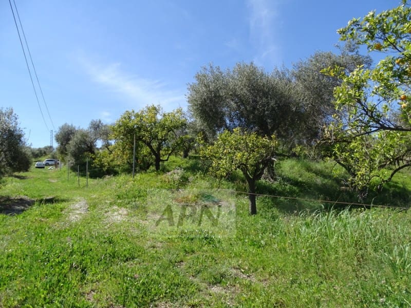1 Zimmer Finca/Landgut zu verkaufen in Pizarra - 160.000 € (Ref: 7301787)