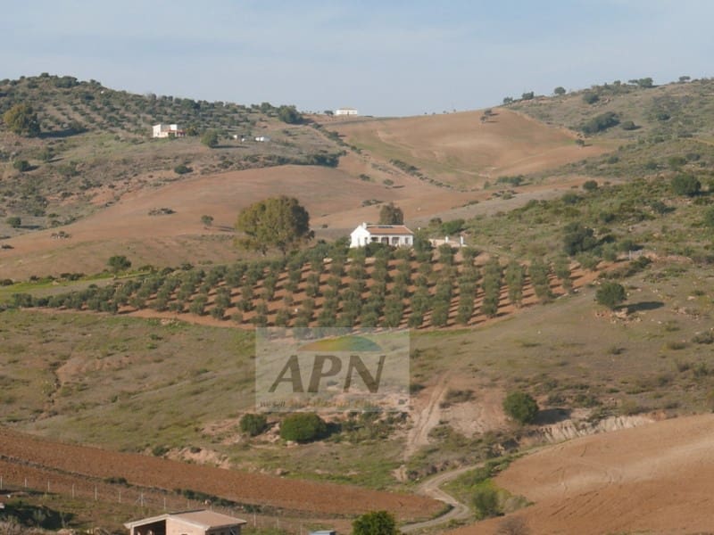 3 camera da letto Finca/Casa di Campagna in vendita in Alora - 240.000 € (Rif: 7301800)