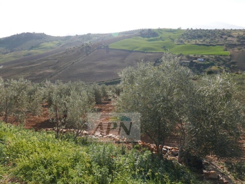 3 camera da letto Finca/Casa di Campagna in vendita in Alora - 240.000 € (Rif: 7301800)