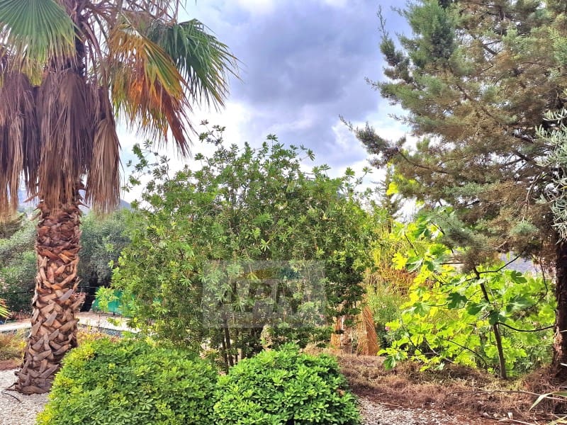 4 sypialnia Finka/Dom wiejski na sprzedaż w Alora z basenem - 395 000 € (Ref: 7301831)