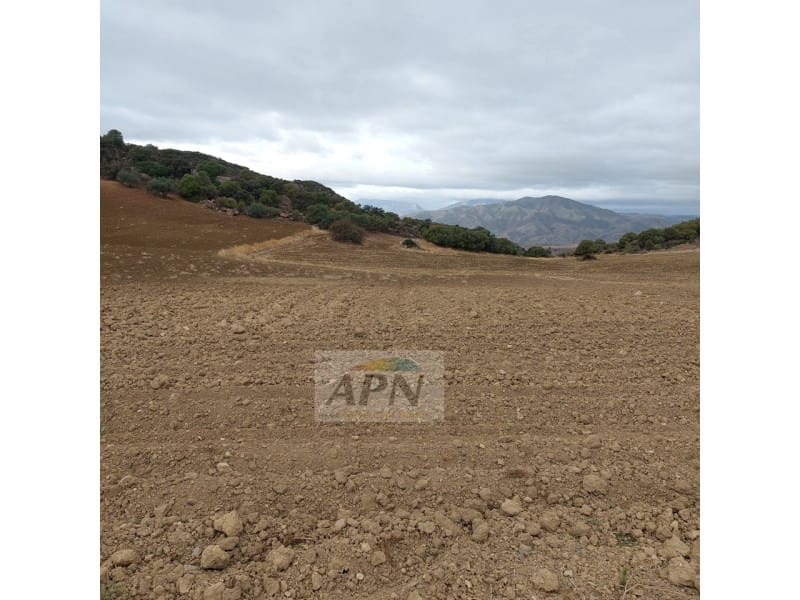 1 soverom Finca/Herregård til salgs i Alora - € 138 000 (Ref: 7301852)