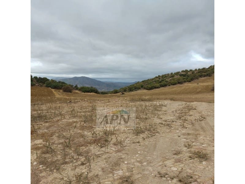 1 soverom Finca/Herregård til salgs i Alora - € 138 000 (Ref: 7301852)