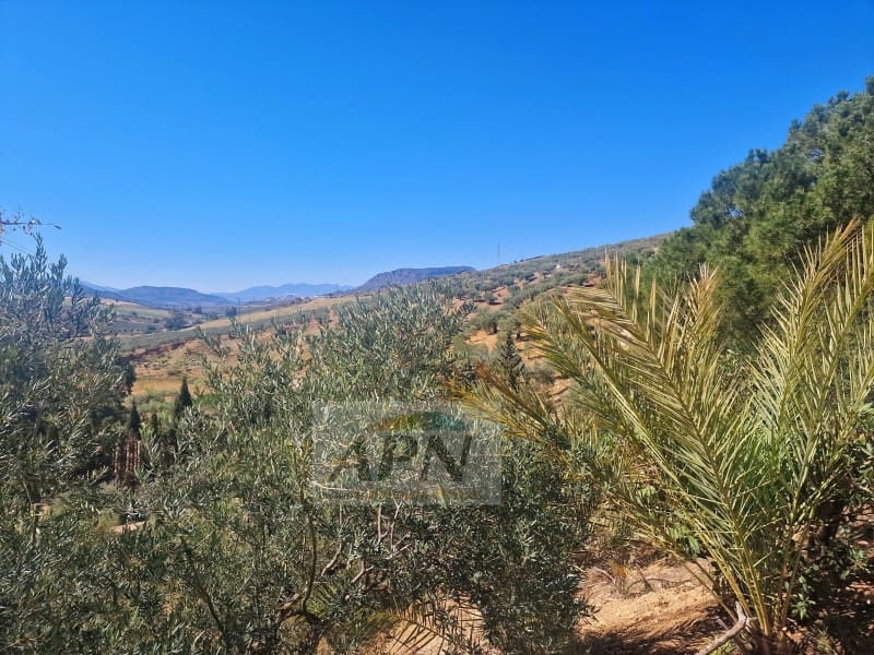 3 Zimmer Finca/Landgut zu verkaufen in Alora - 229.000 € (Ref: 7516429)