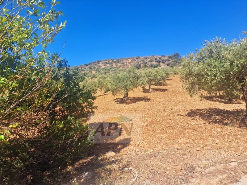 3 Zimmer Finca/Landgut zu verkaufen in Alora - 229.000 € (Ref: 7516429)