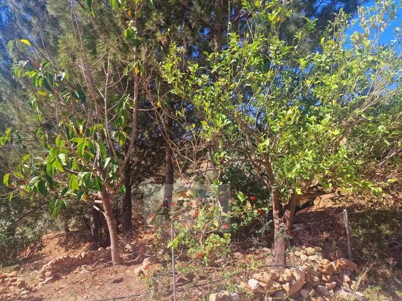 3 Zimmer Finca/Landgut zu verkaufen in Alora - 229.000 € (Ref: 7516429)