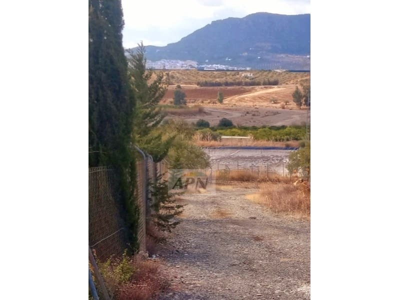 3 soveværelse Finca/Landehus til salg i Alora med swimmingpool - € 254.000 (Ref: 7519242)