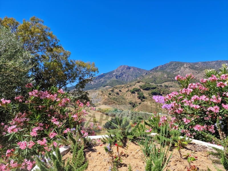 4 soveværelse Finca/Landehus til salg i Carratraca med swimmingpool - € 650.000 (Ref: 7639703)