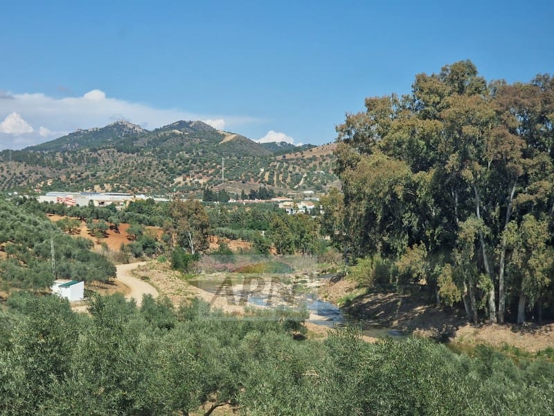 3 sovrum Finca/Hus på landet att hyra i Alora med pool - 1 500 € (Ref: 7811512)