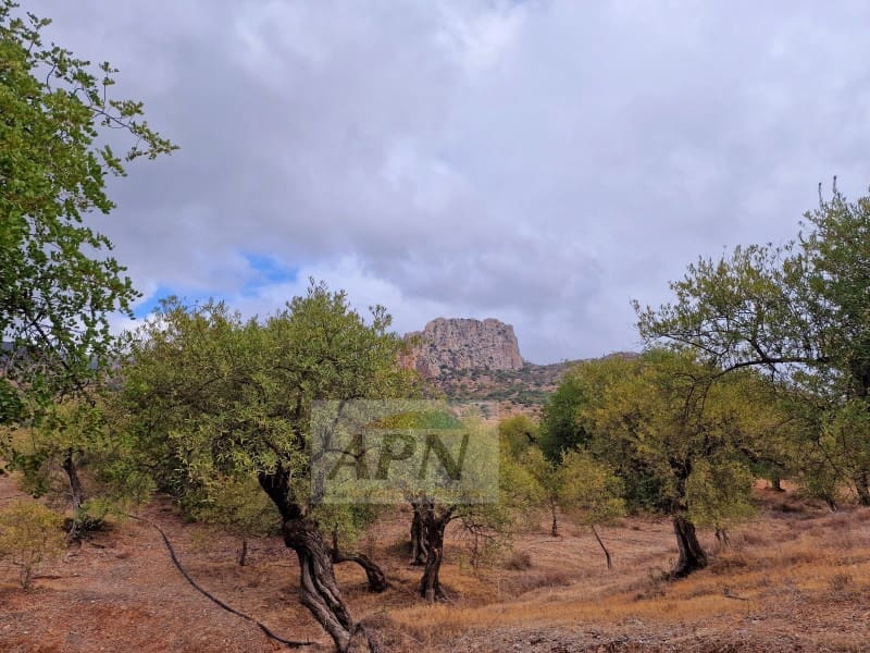 3 sovrum Finca/Hus på landet till salu i Alora - 220 000 € (Ref: 7842803)