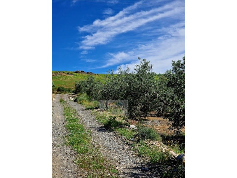 Mark till salu i Alora - 67 000 € (Ref: 8285015)