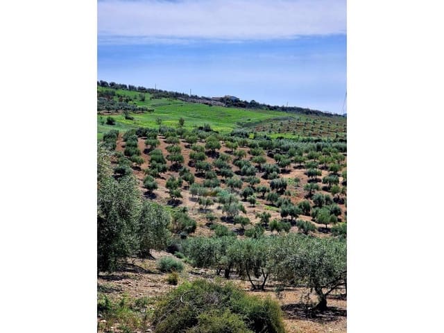 Mark till salu i Alora - 67 000 € (Ref: 8285015)