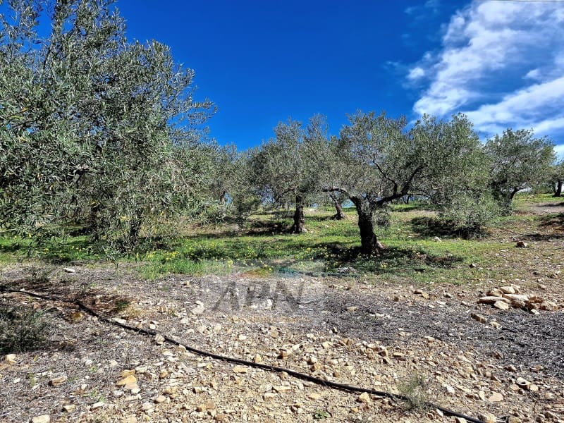 Mark till salu i Alora - 67 000 € (Ref: 8285015)