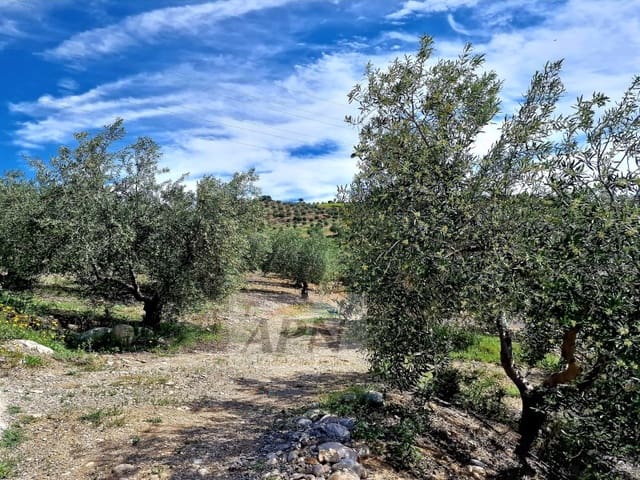 Mark till salu i Alora - 67 000 € (Ref: 8285015)