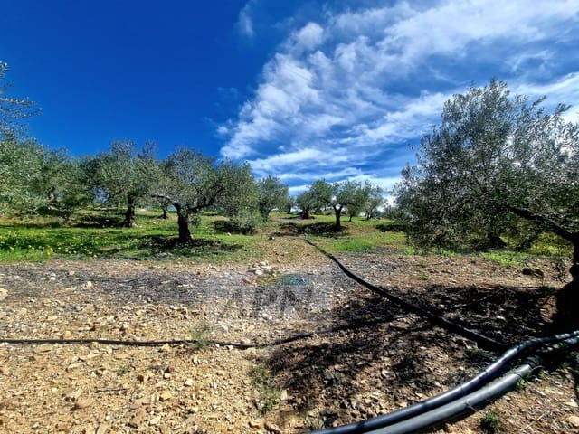 Mark till salu i Alora - 67 000 € (Ref: 8285015)