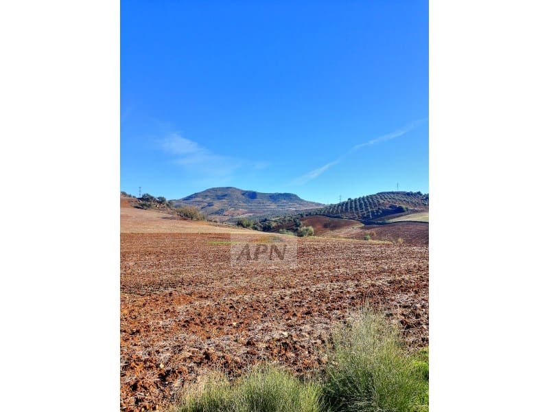 10 soverom Finca/Herregård til salgs i Alora - € 990 000 (Ref: 8295631)