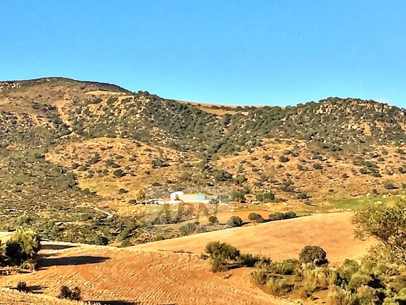 10 soverom Finca/Herregård til salgs i Alora - € 990 000 (Ref: 8295631)