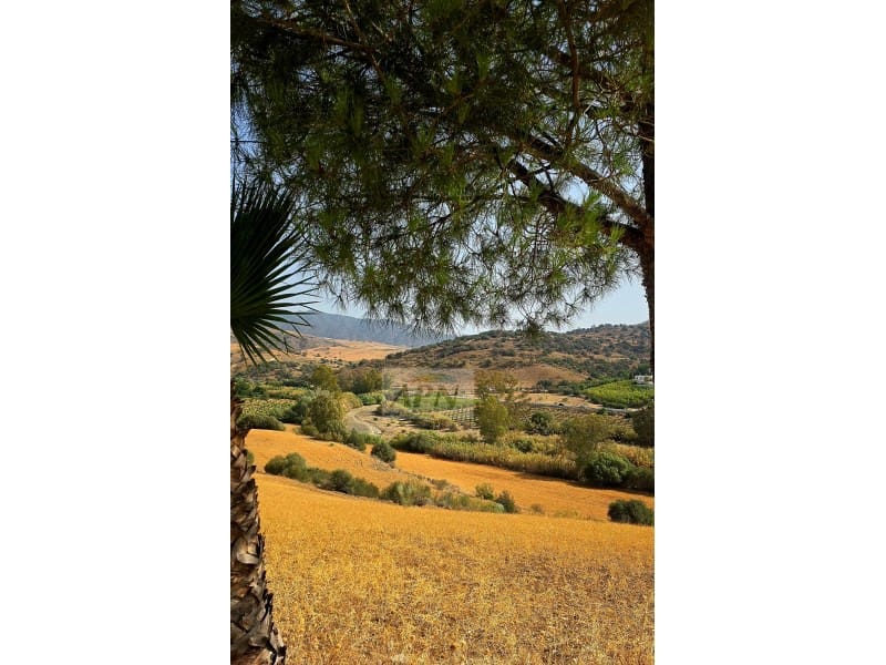 4 chambre Finca/Maison de Campagne à vendre à Alora avec piscine - 580 000 € (Ref: 8439086)