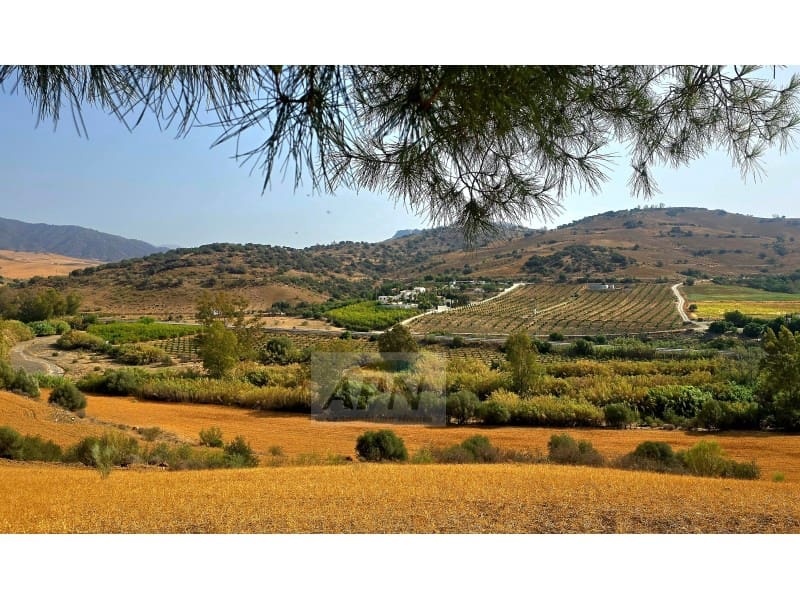 4 chambre Finca/Maison de Campagne à vendre à Alora avec piscine - 580 000 € (Ref: 8439086)