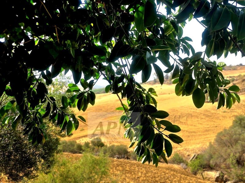 4 chambre Finca/Maison de Campagne à vendre à Alora avec piscine - 580 000 € (Ref: 8439086)