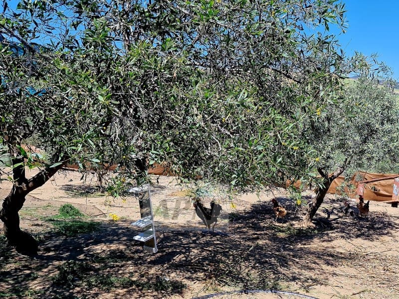 1 soveværelse Finca/Landehus til salg i Coin - € 160.000 (Ref: 8456029)