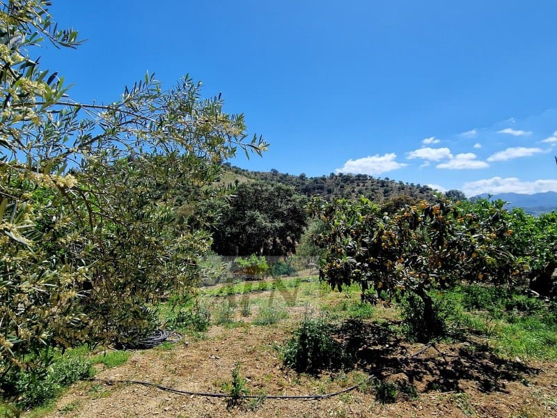 1 soveværelse Finca/Landehus til salg i Coin - € 160.000 (Ref: 8456029)