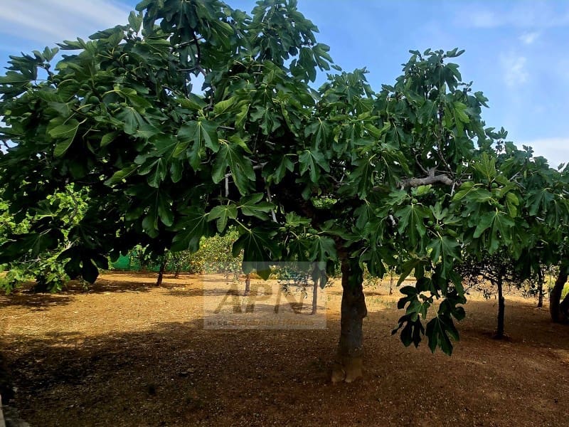 Finca/Casa Rural de 3 habitaciones en Alora en venta - 310.000 € (Ref: 8551138)