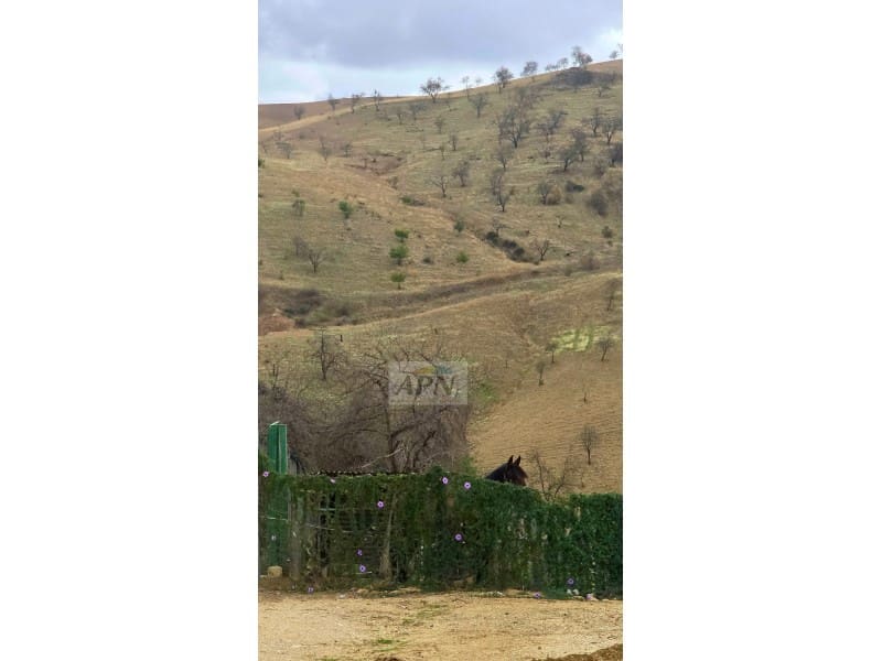 3 soveværelse Finca/Landehus til salg i Alora - € 280.000 (Ref: 8602192)