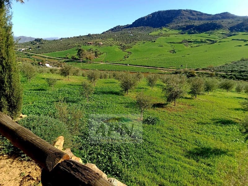 5 soveværelse Finca/Landehus til salg i Alora - € 350.000 (Ref: 8694822)