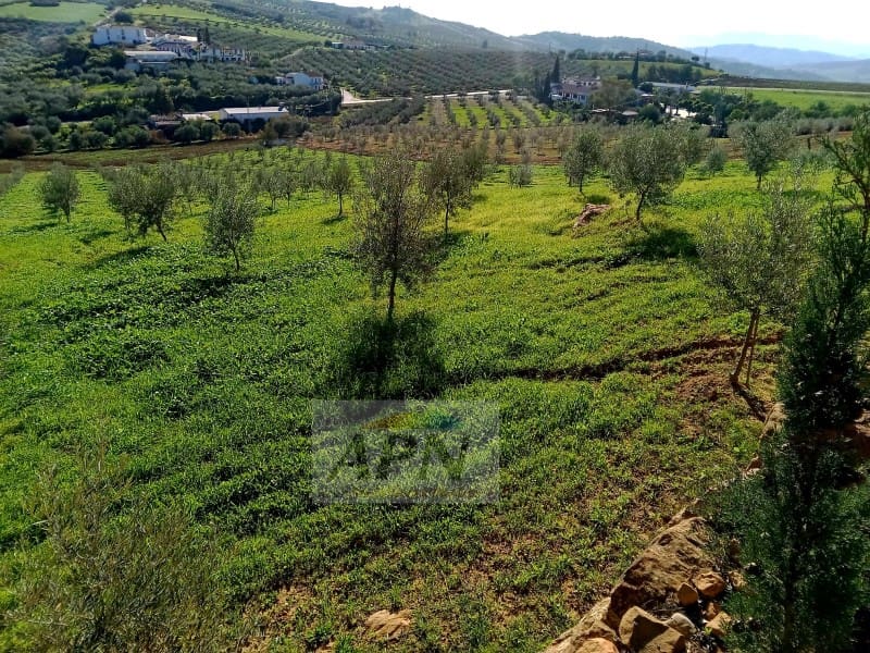 5 soveværelse Finca/Landehus til salg i Alora - € 350.000 (Ref: 8694822)