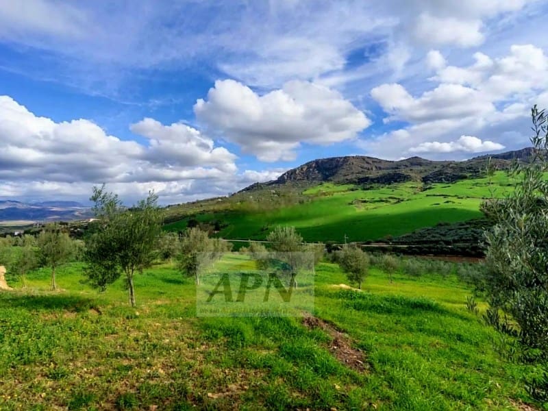 5 soveværelse Finca/Landehus til salg i Alora - € 350.000 (Ref: 8694822)