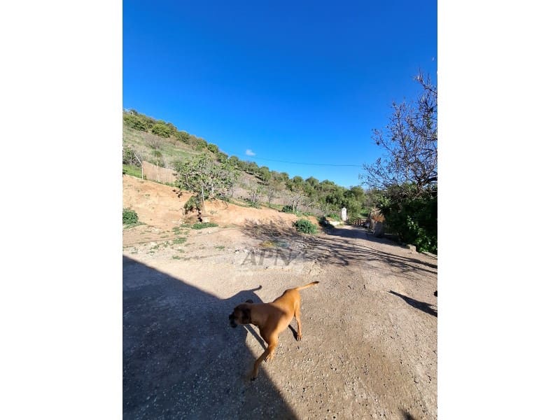 3 sypialnia Finka/Dom wiejski na sprzedaż w Alora - 210 000 € (Ref: 8764390)