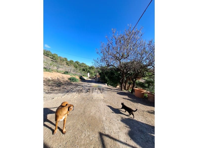 3 sypialnia Finka/Dom wiejski na sprzedaż w Alora - 210 000 € (Ref: 8764390)