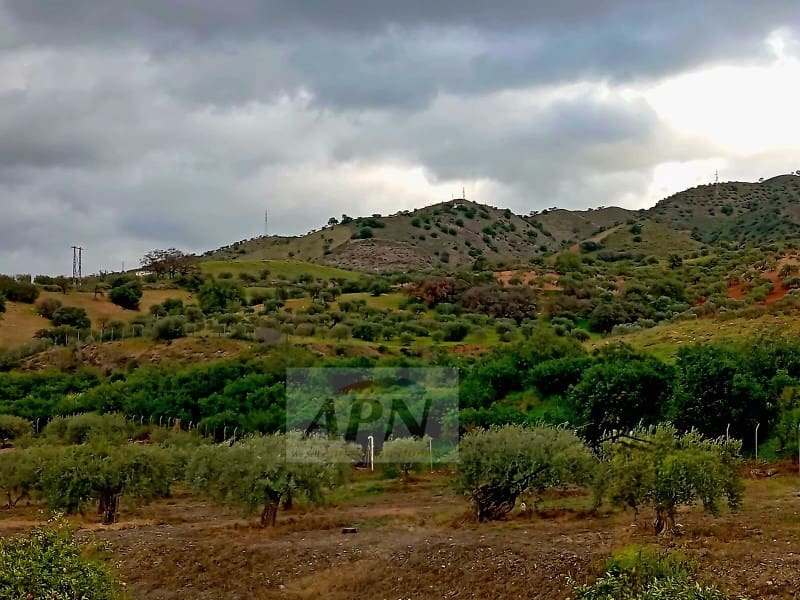 3 Zimmer Apartment zu verkaufen in Alora - 176.000 € (Ref: 8851723)