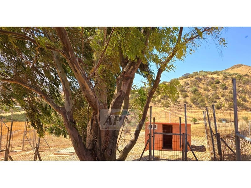 2 Zimmer Finca/Landgut zu verkaufen in Valle de Abdalajis - 236.000 € (Ref: 8862973)