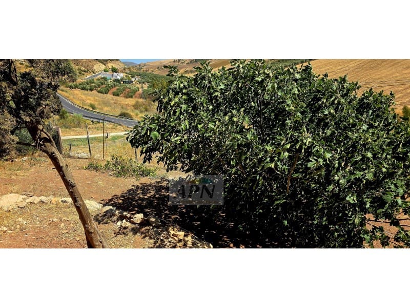2 Zimmer Finca/Landgut zu verkaufen in Valle de Abdalajis - 236.000 € (Ref: 8862973)