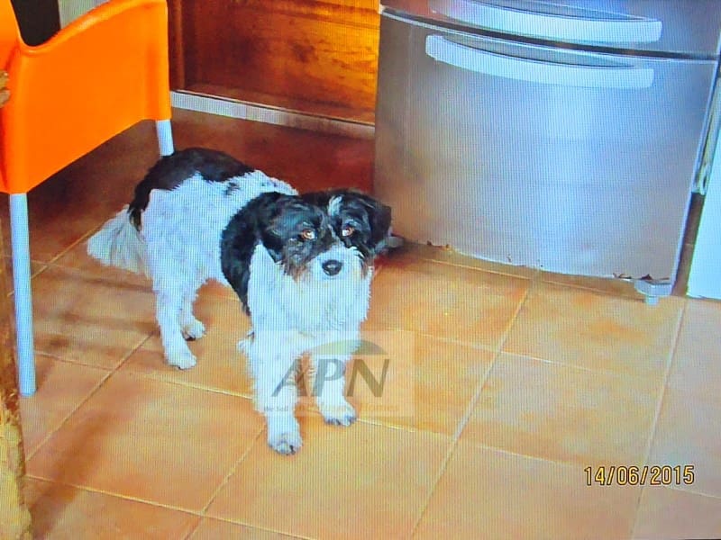 2 Zimmer Finca/Landgut zu verkaufen in Valle de Abdalajis - 236.000 € (Ref: 8862973)