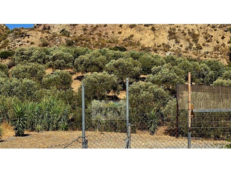 2 Zimmer Finca/Landgut zu verkaufen in Valle de Abdalajis - 236.000 € (Ref: 8862973)