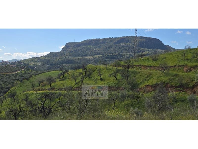 Grunde uden byggetilladelser til salg i Alora - € 170.000 (Ref: 8921421)