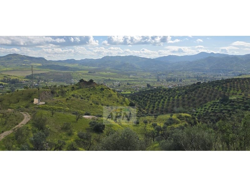 Grunde uden byggetilladelser til salg i Alora - € 170.000 (Ref: 8921421)