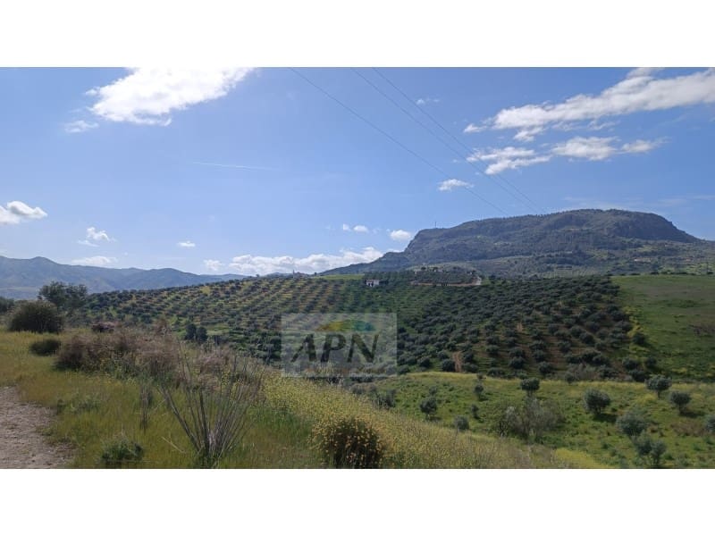 Grunde uden byggetilladelser til salg i Alora - € 170.000 (Ref: 8921421)