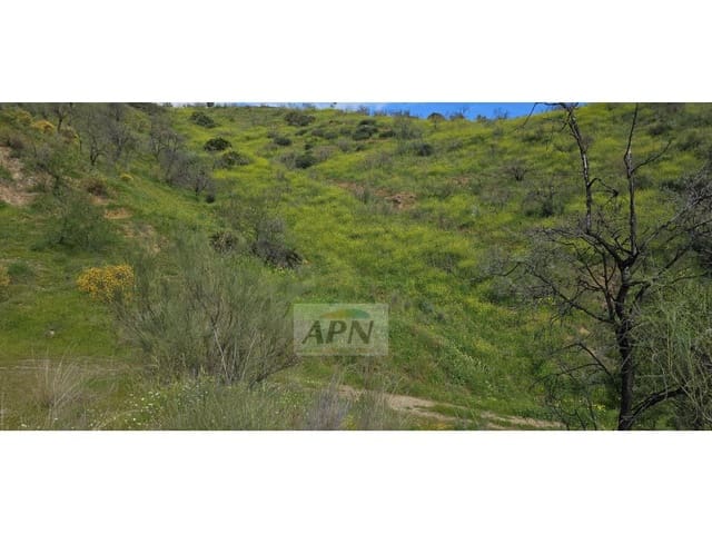 Mark till salu i Alora - 170 000 € (Ref: 8921421)