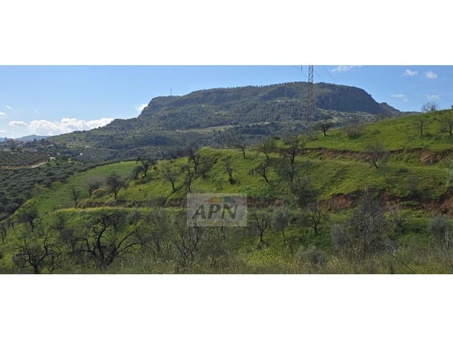 Mark till salu i Alora - 170 000 € (Ref: 8921421)