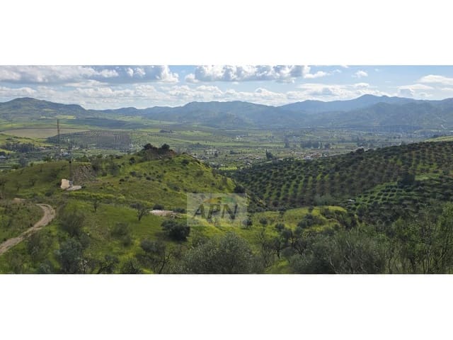 Mark till salu i Alora - 170 000 € (Ref: 8921421)