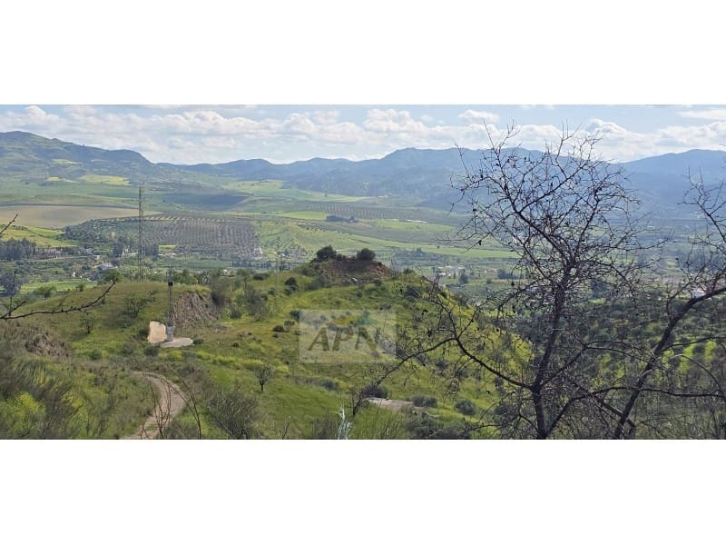 Grunde uden byggetilladelser til salg i Alora - € 170.000 (Ref: 8921421)