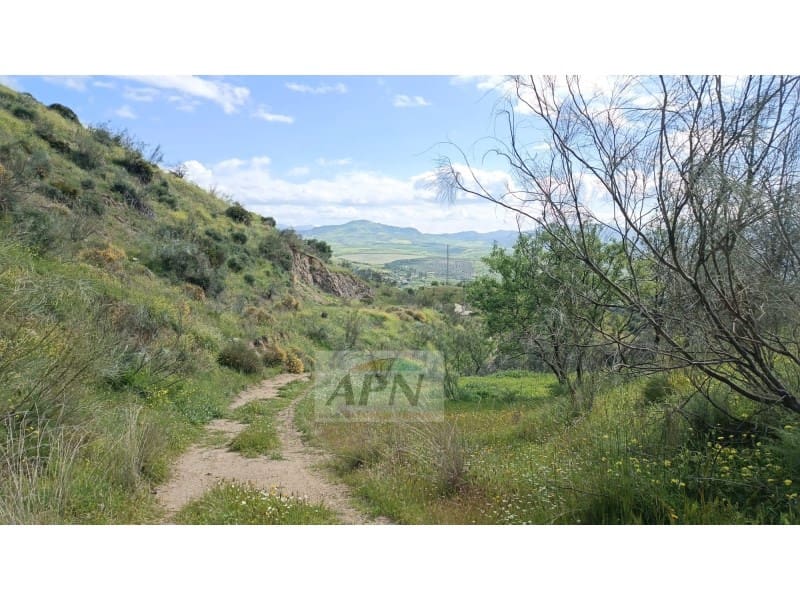 Grunde uden byggetilladelser til salg i Alora - € 170.000 (Ref: 8921421)