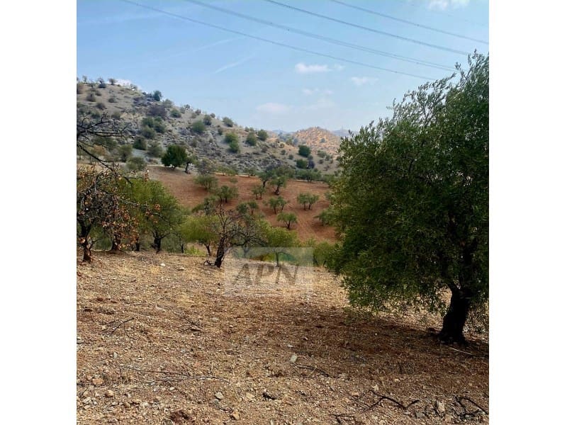 Grunde uden byggetilladelser til salg i Alora - € 43.000 (Ref: 8929130)