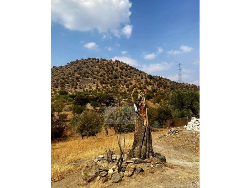 Grunde uden byggetilladelser til salg i Alora - € 43.000 (Ref: 8929130)